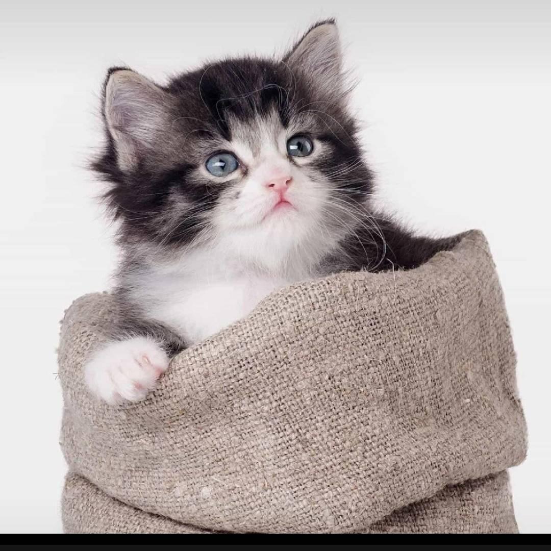 🚜阯損🍻！！！