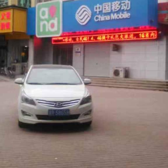 皮卡老乐乐