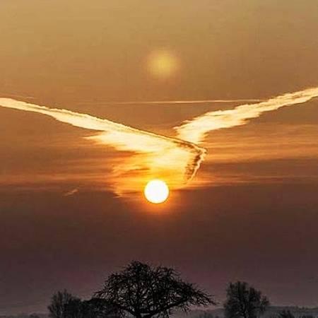 zz帅老头、大自然