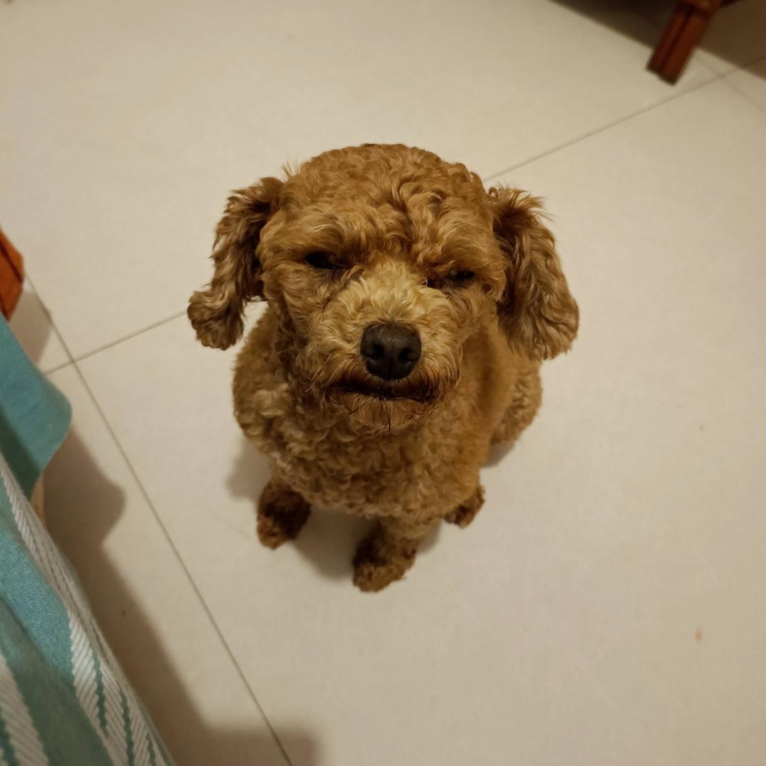 球球合拍