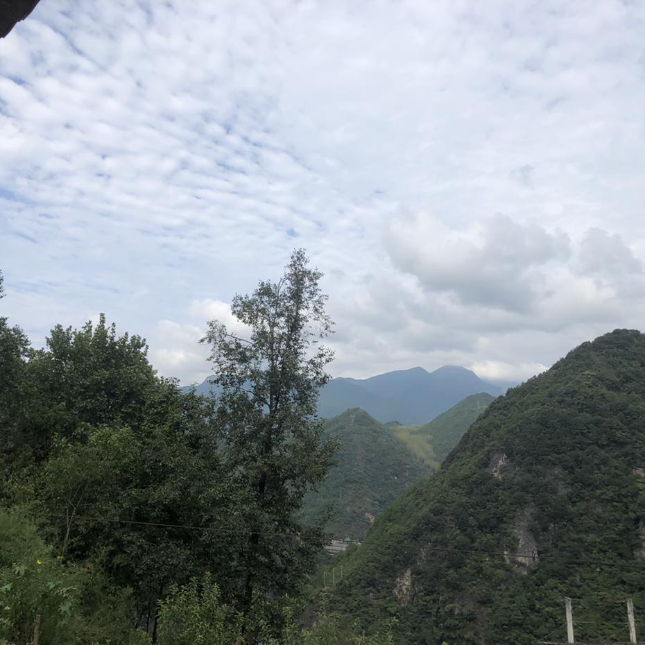 随疯.