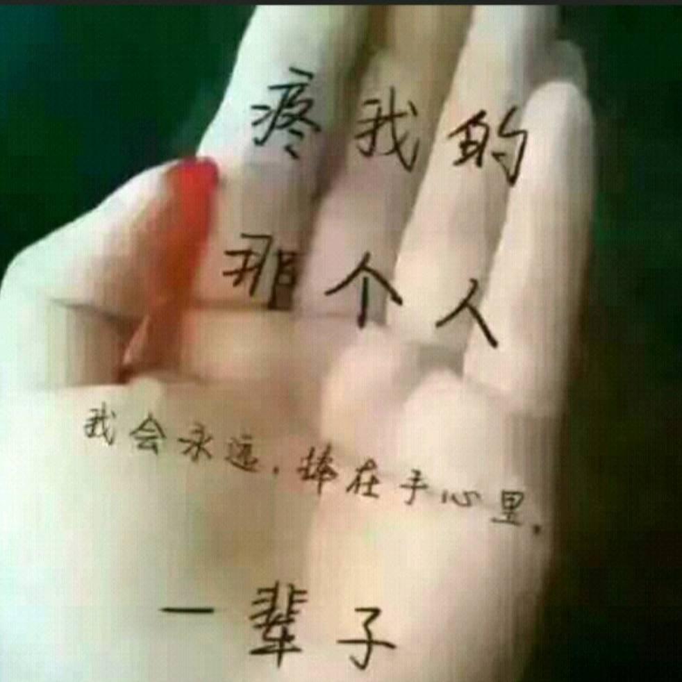 黑鸭头