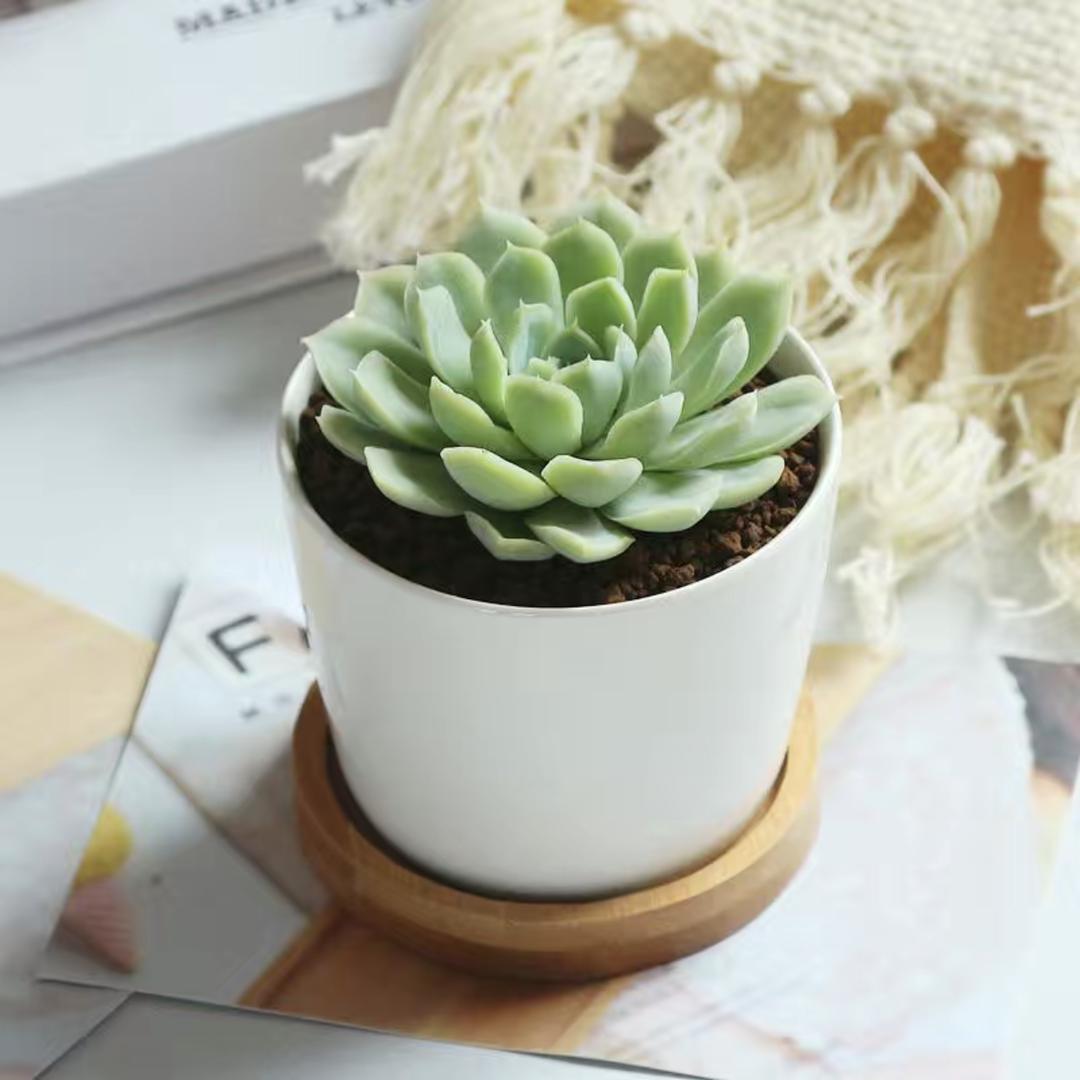 Igcse化学，alevel化学