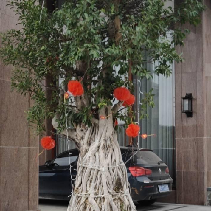 等候