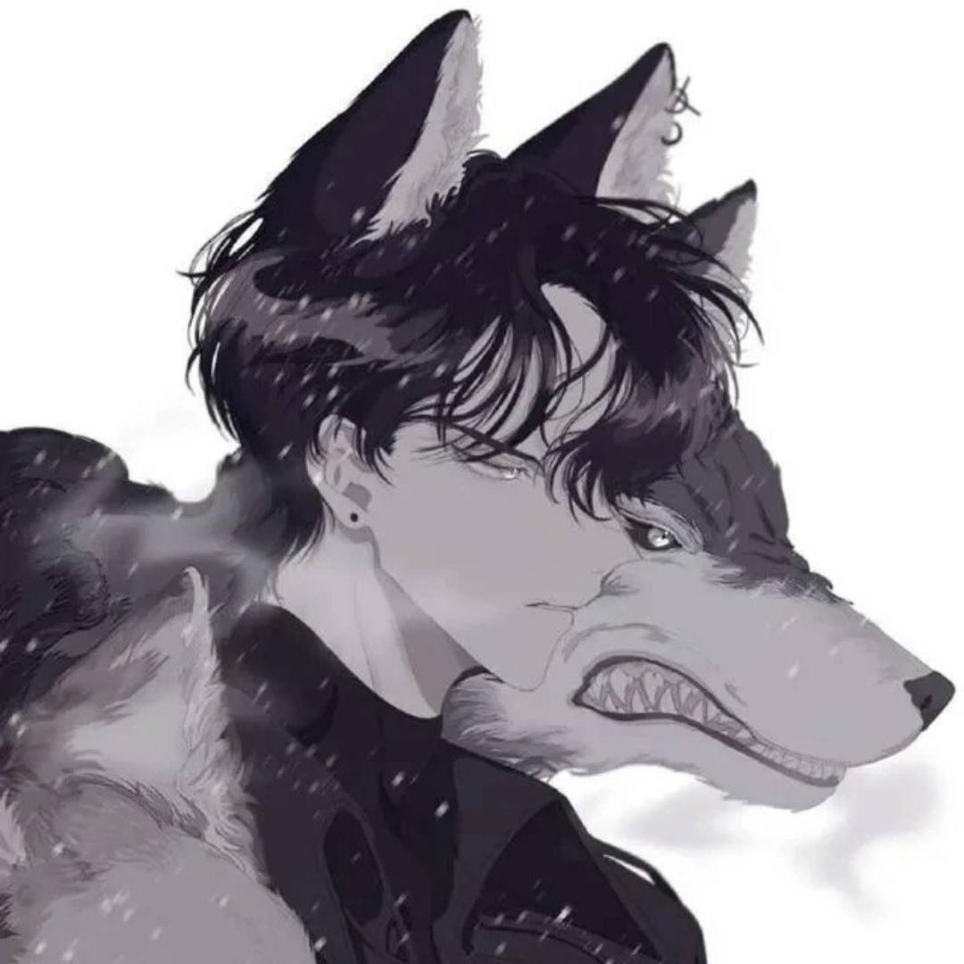 电子DLYq爱好