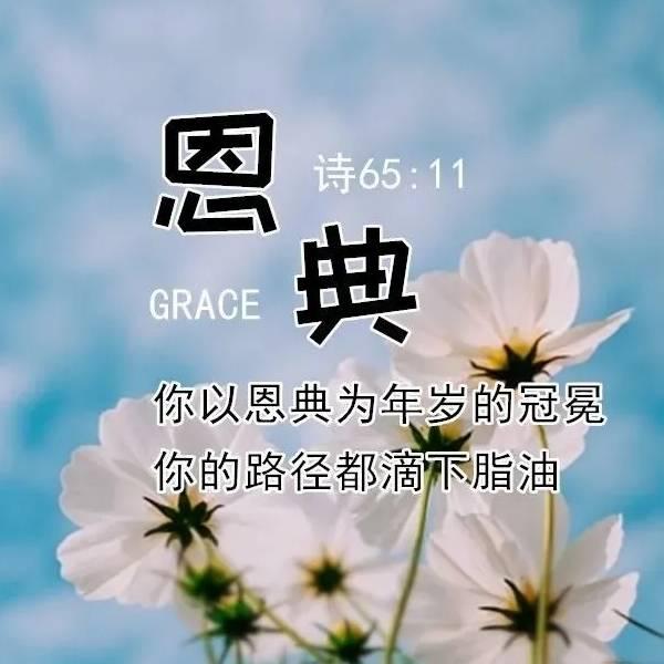 👑福杯满溢👑