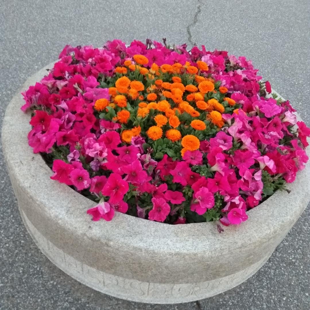 汶上思同家庭农场1