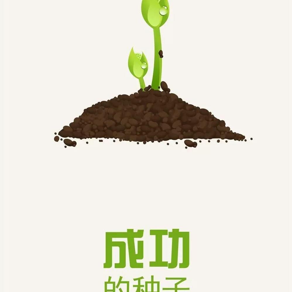 多变的纸