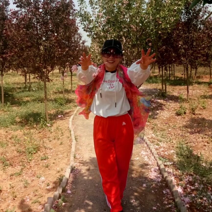 暗香疏影7455