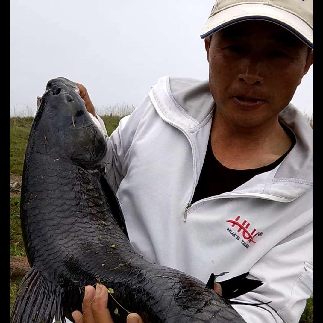 王者台钓