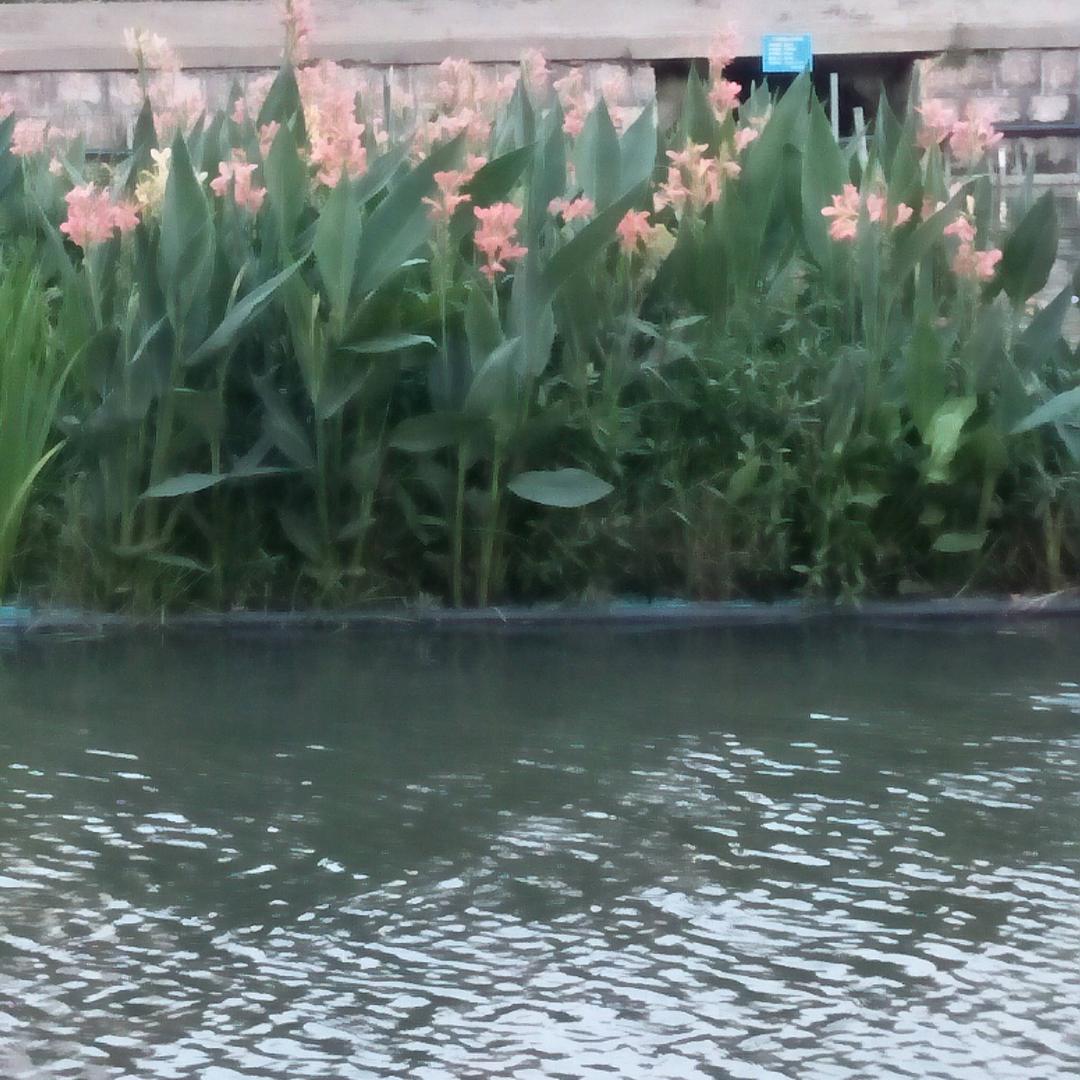 哈哈裁剪