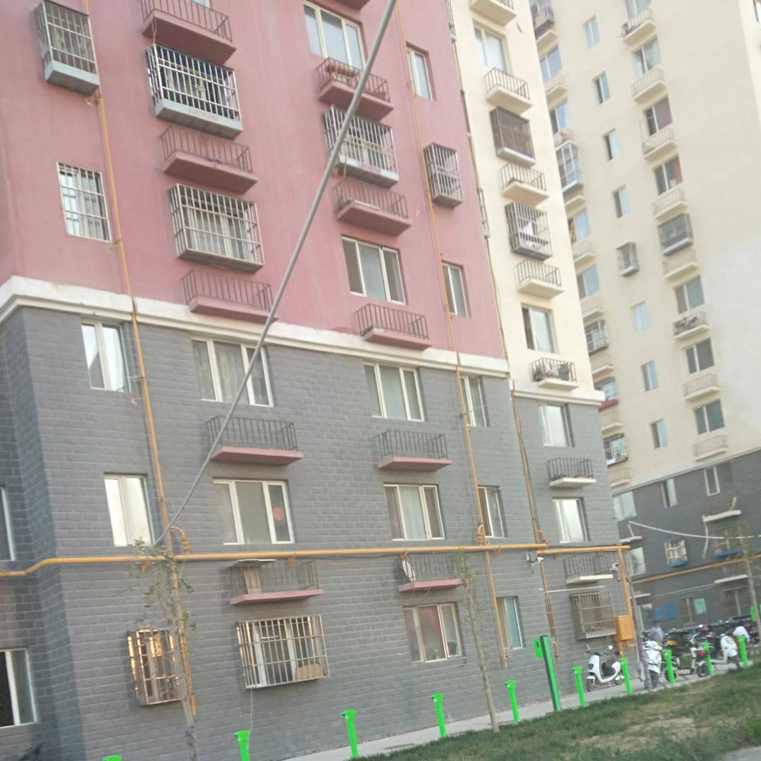 哥是传说63177