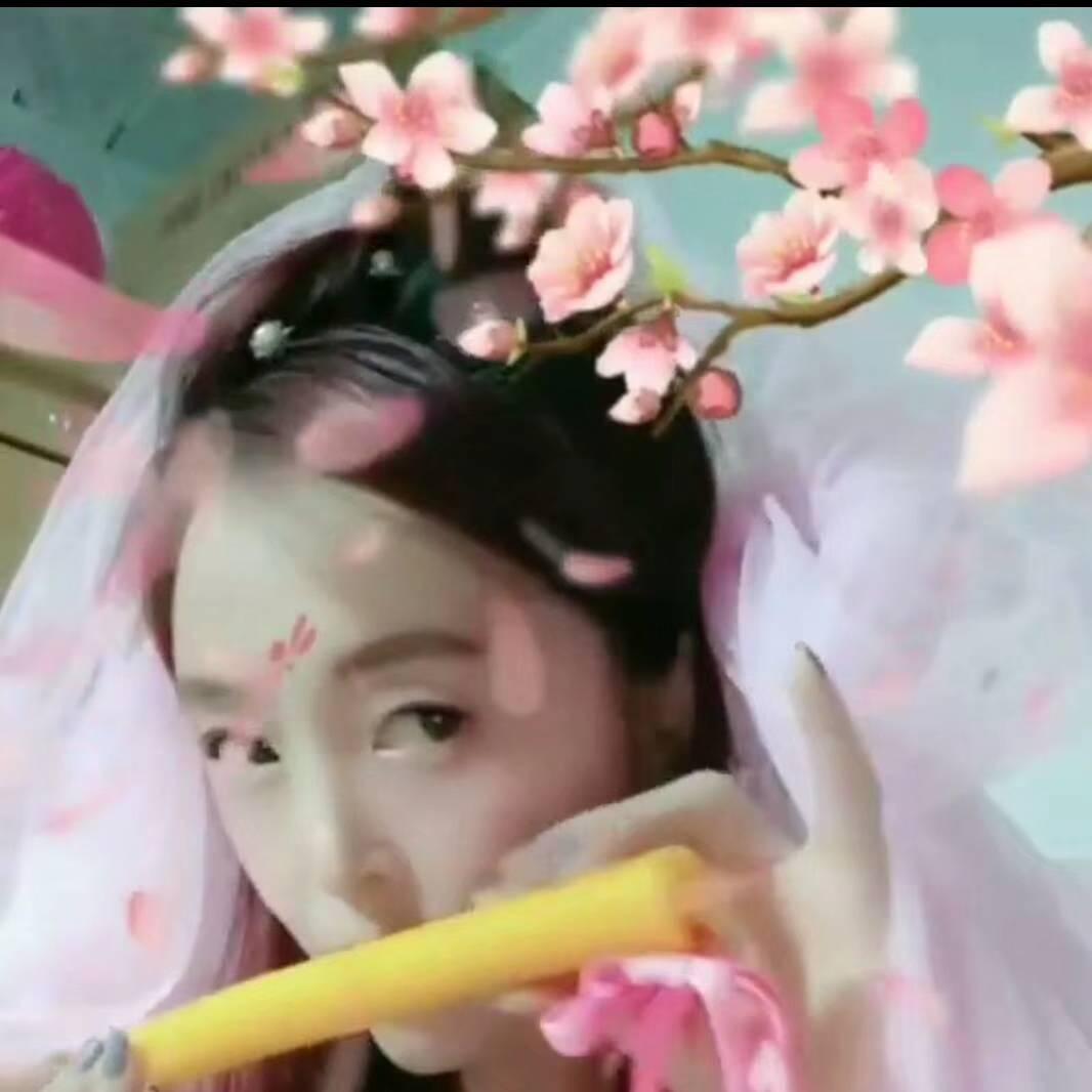 你的世界我来过