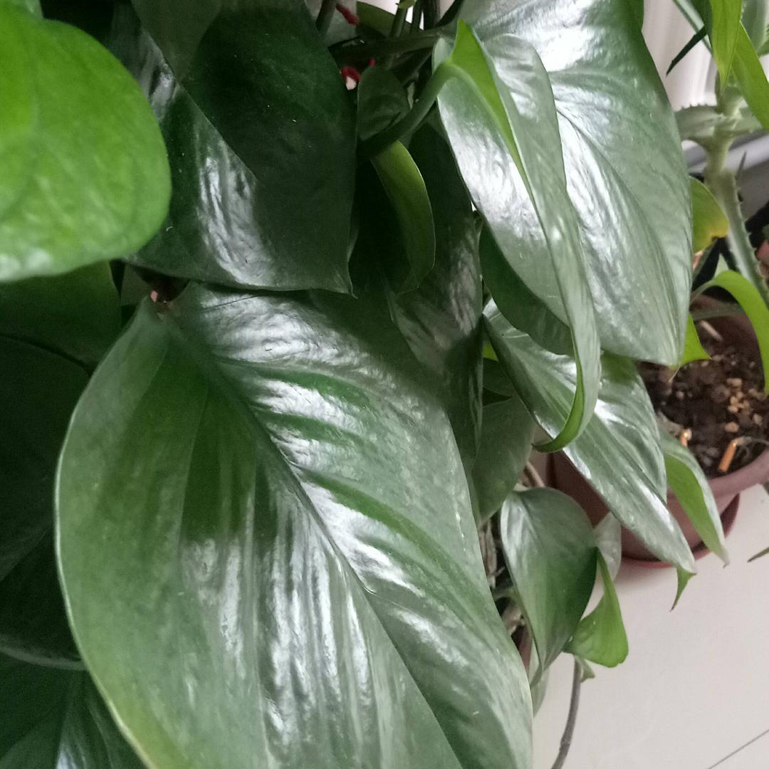 明天会更好..！