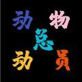 动物 总动员