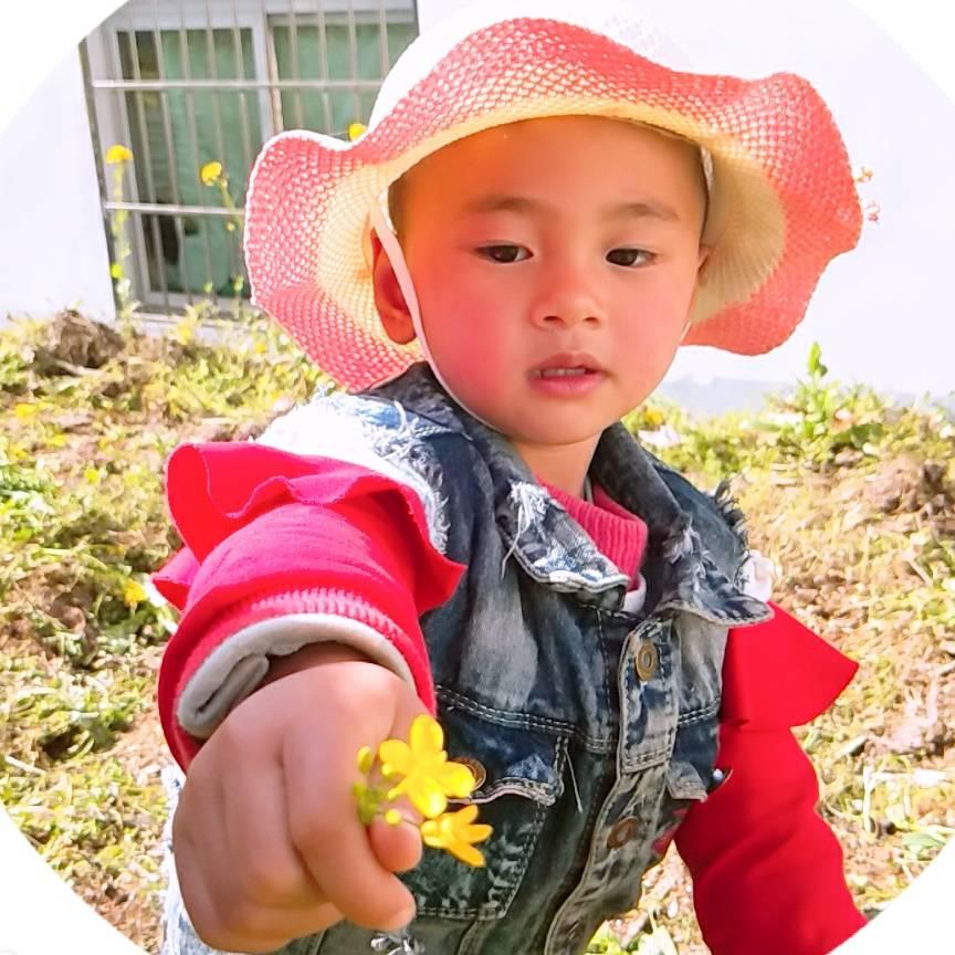 骑着蚂蚁来过河