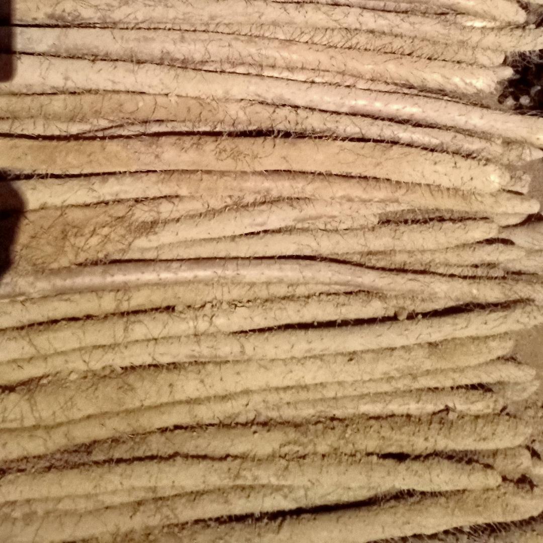 种山药的我