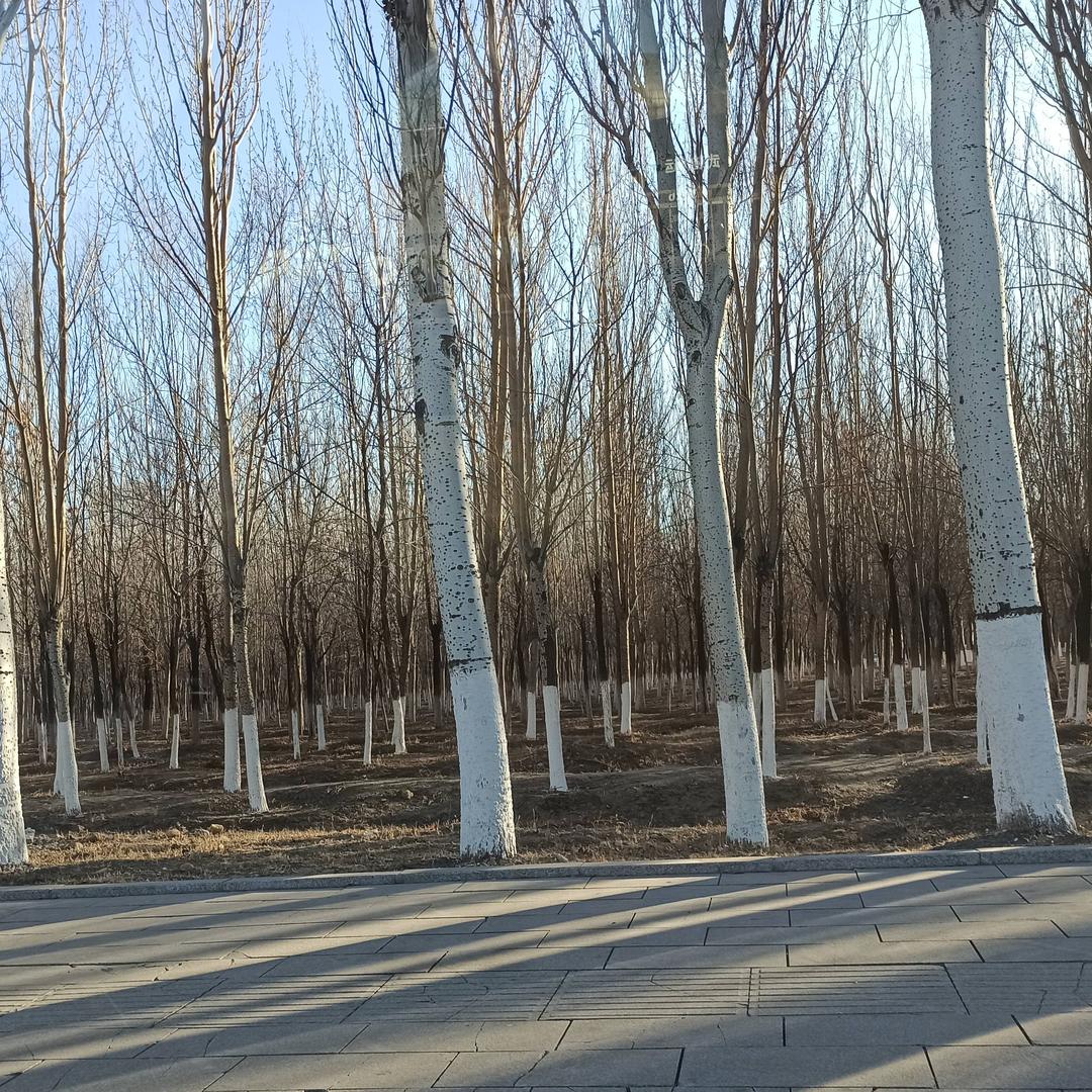 山高水高