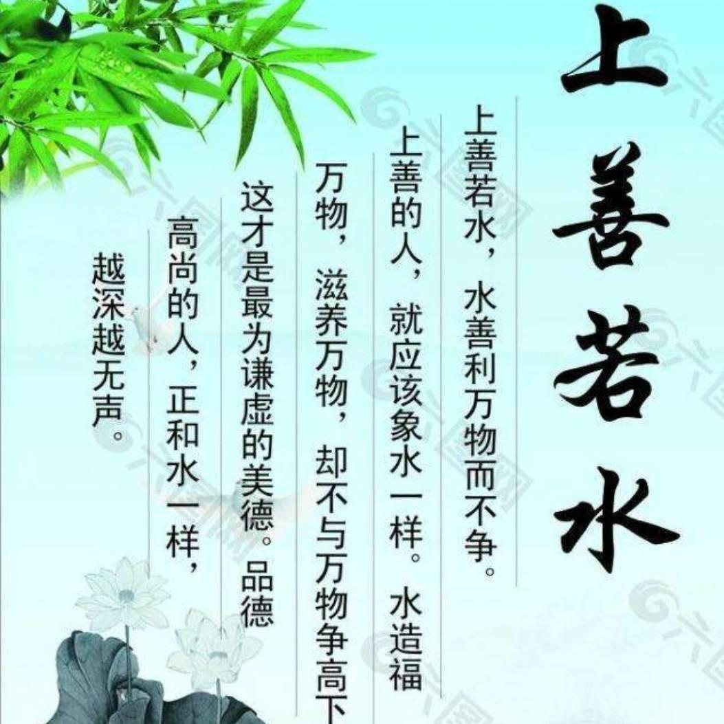 上善若水bims