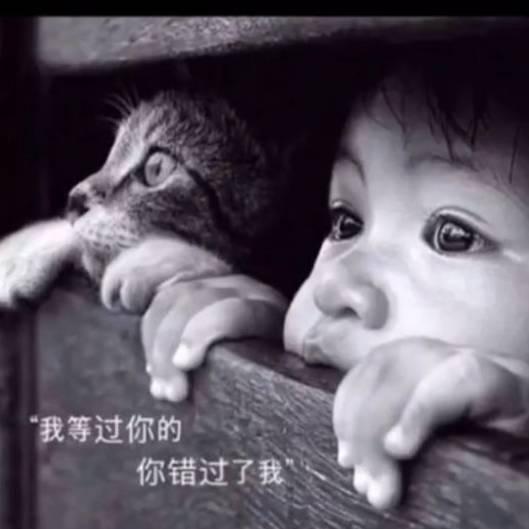 攒够失望就离开