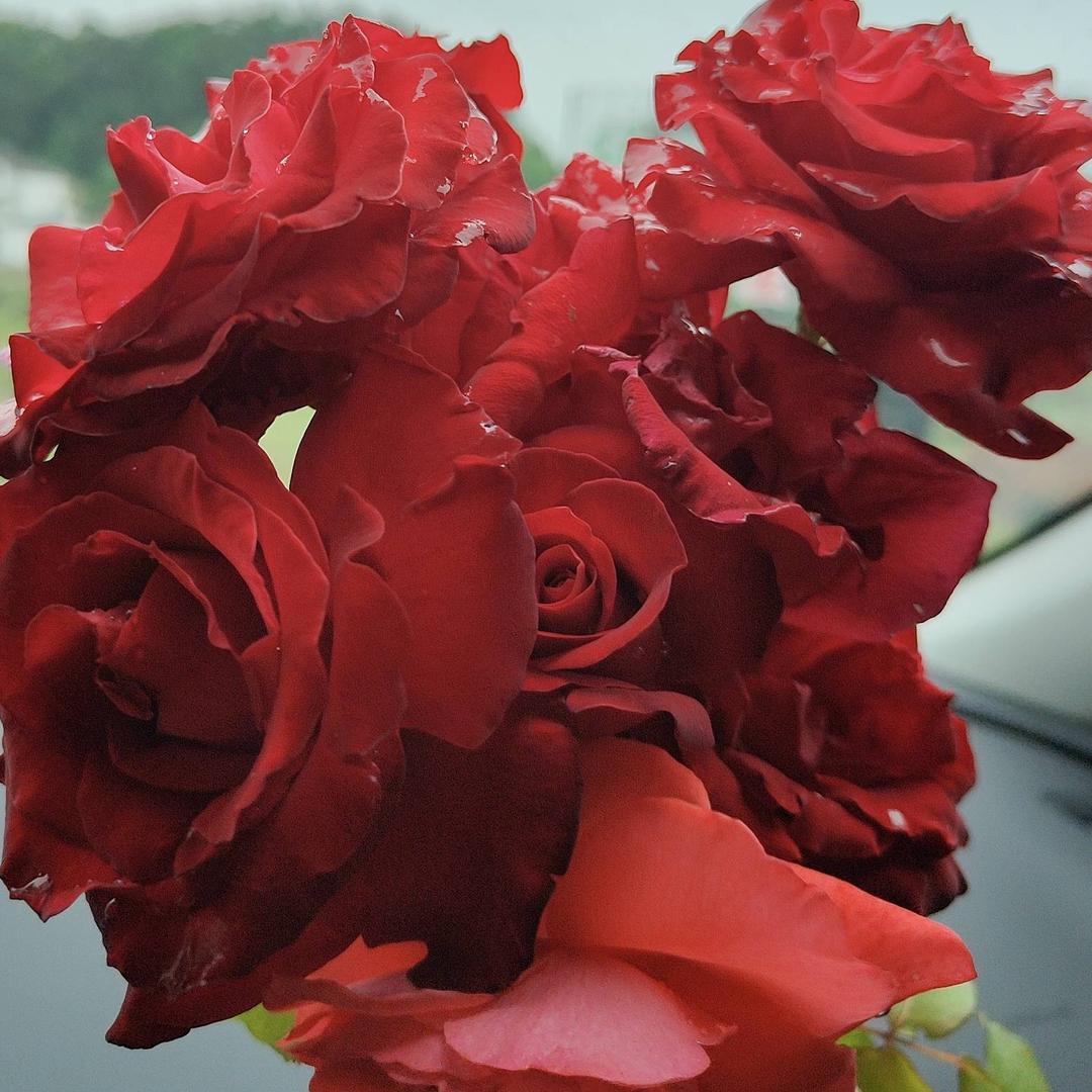与风❤️和雨