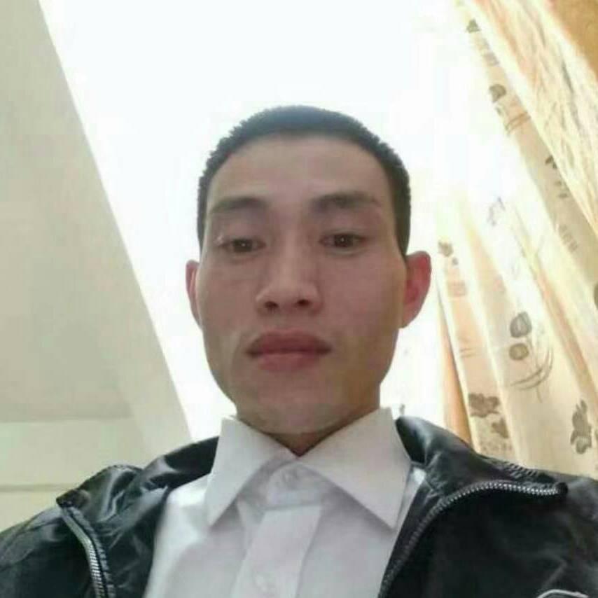 强哥看电影