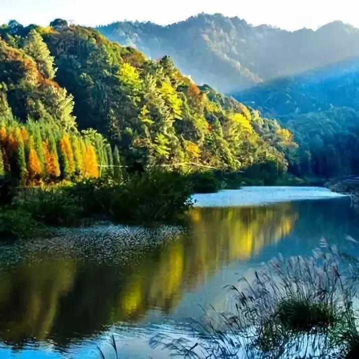 黔山秀美花卉农特产