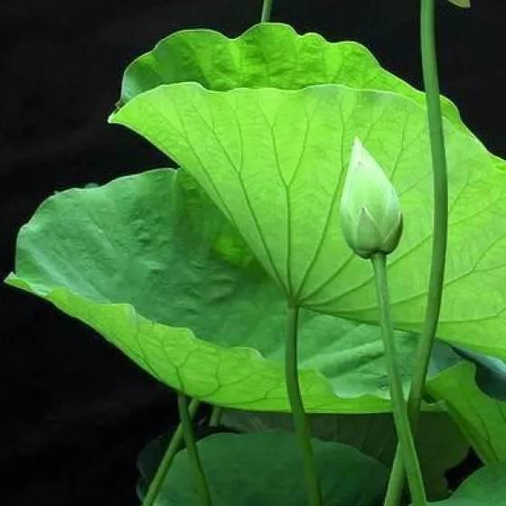 暖芯电台