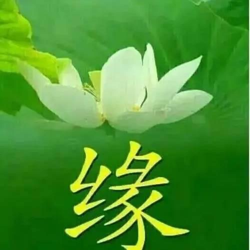 寧靜的港灣