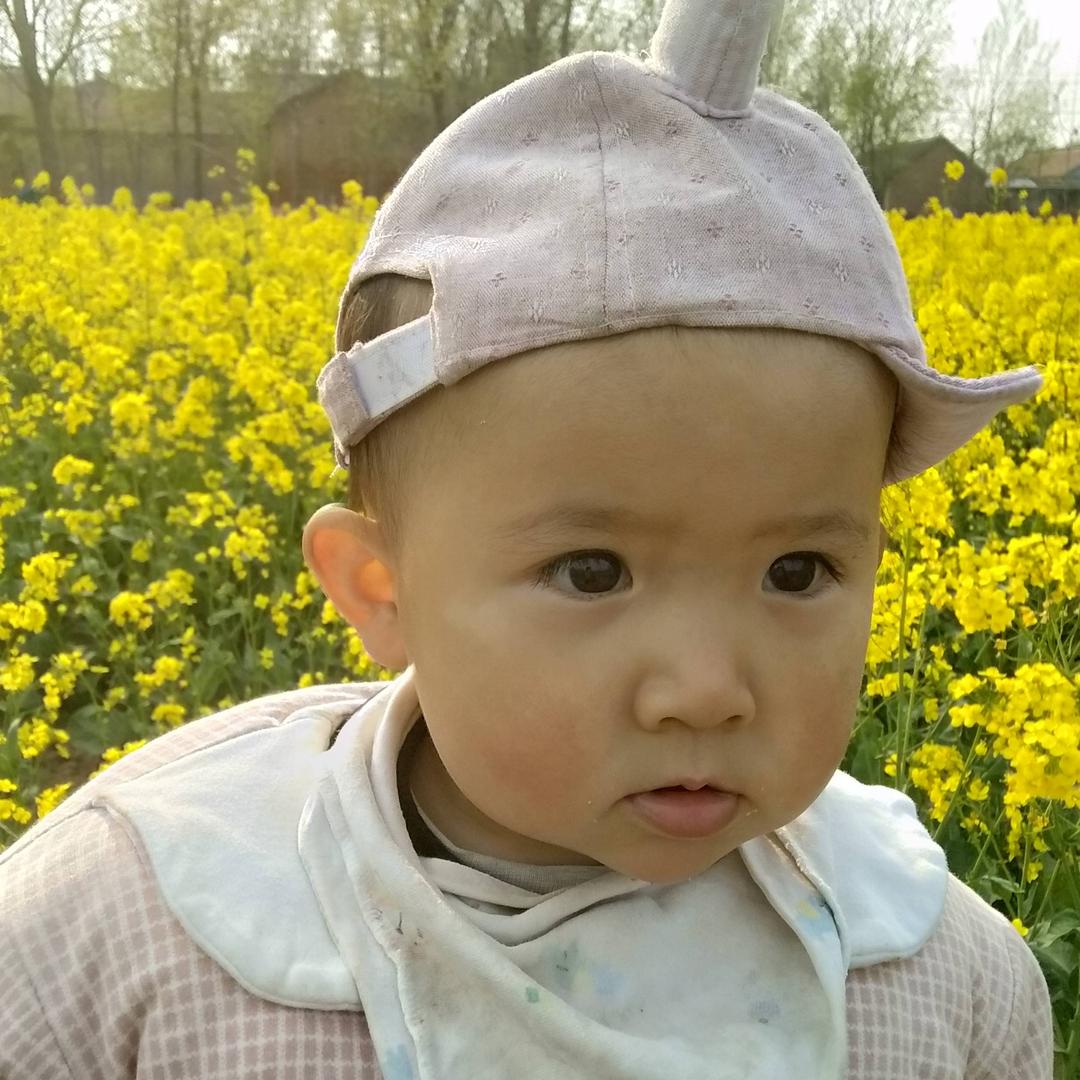 用户16366790