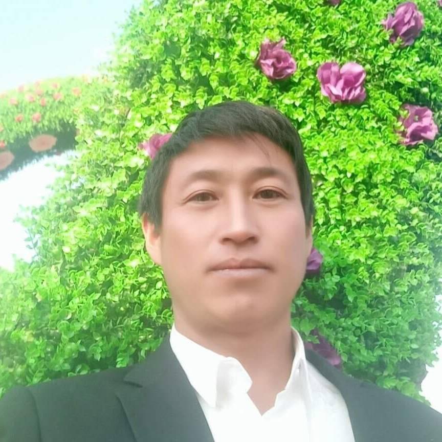真心换真情