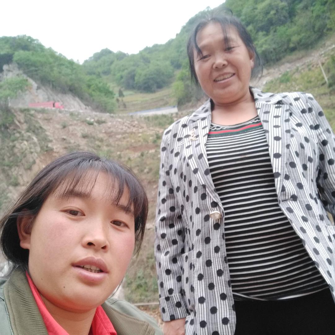 山歌王大姐