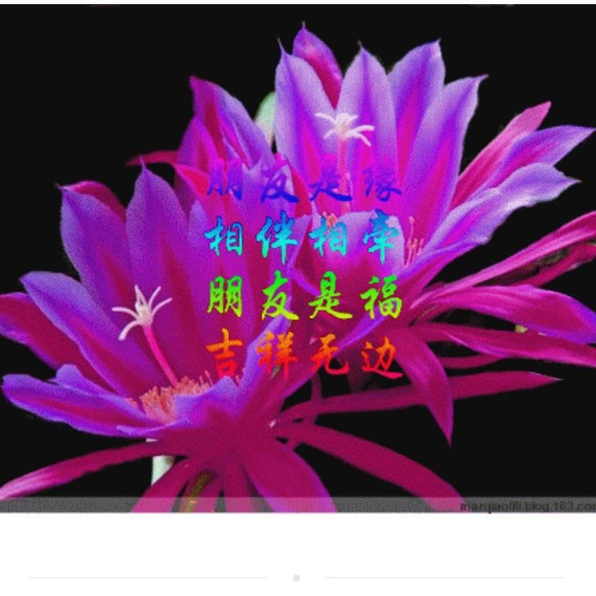 ❤️为你而来❤️