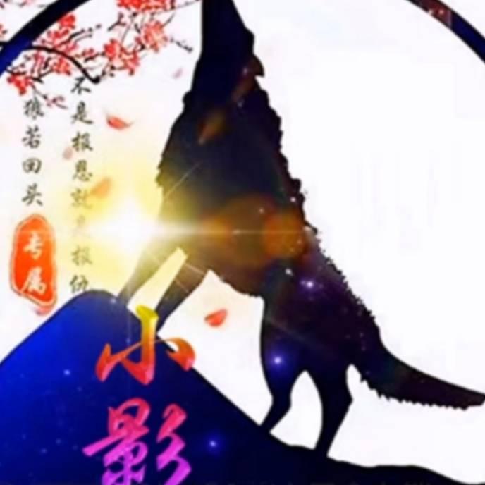 tcz孤行
