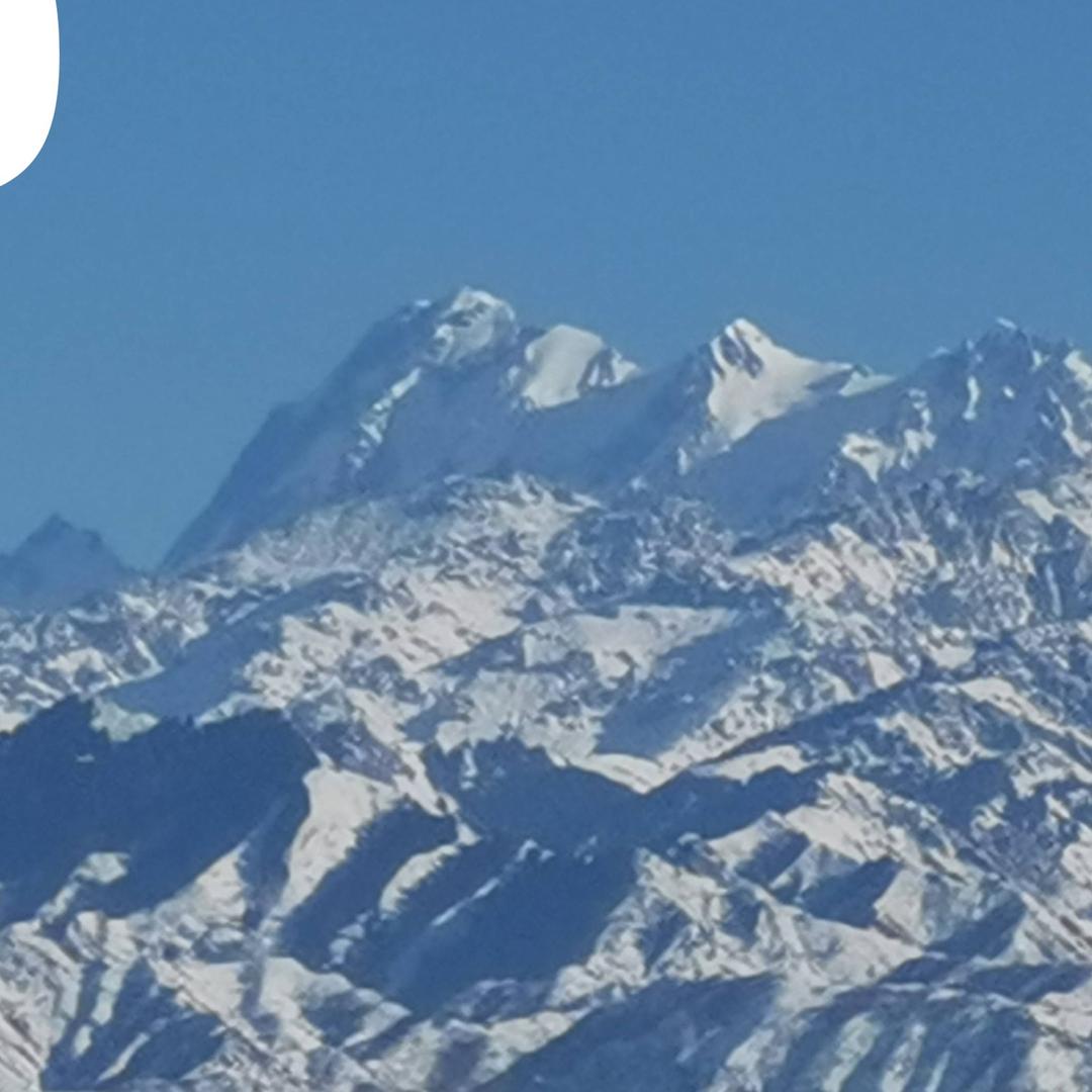 天山胡杨