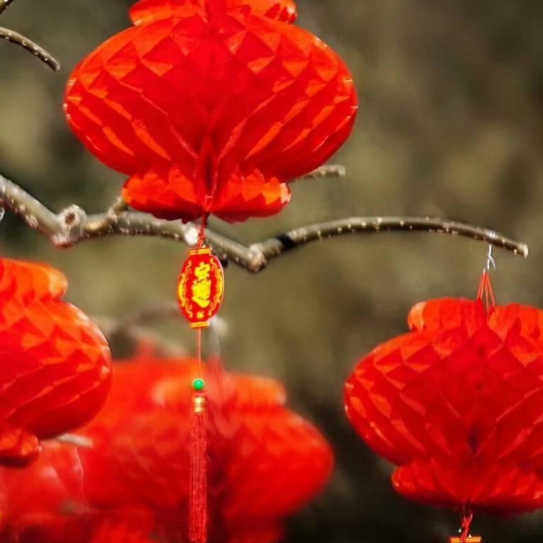 家和万事兴高利硕高利
