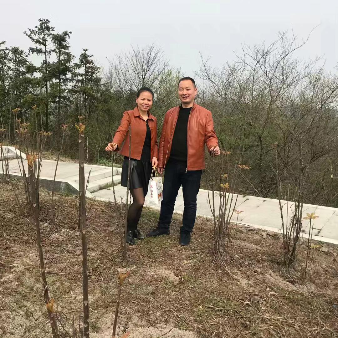 还没想好187