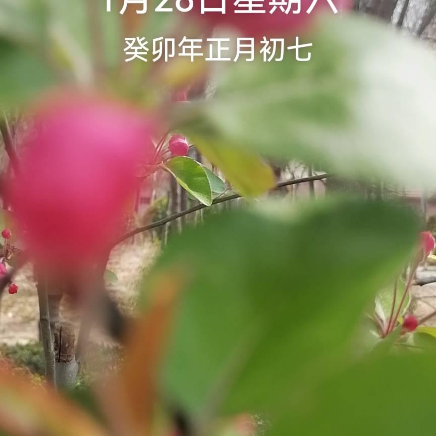 一往无前头像