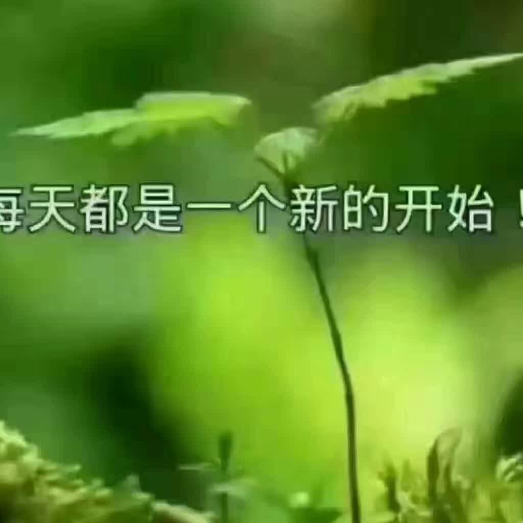 落笔如画