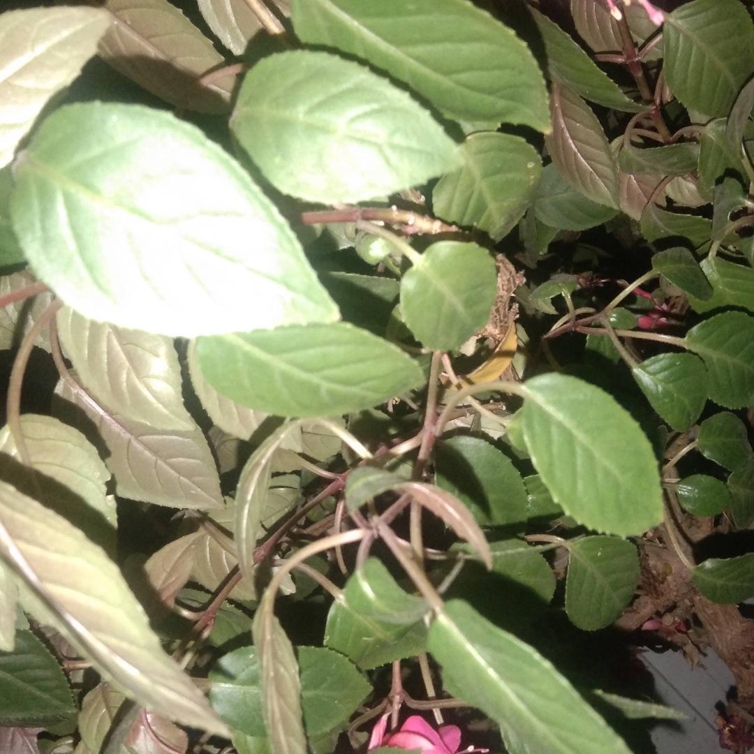 我在你回来的路口等你