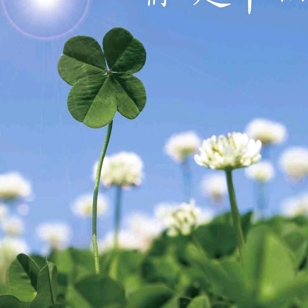 专业广告安装
