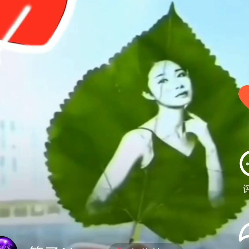 真情换真心小哥