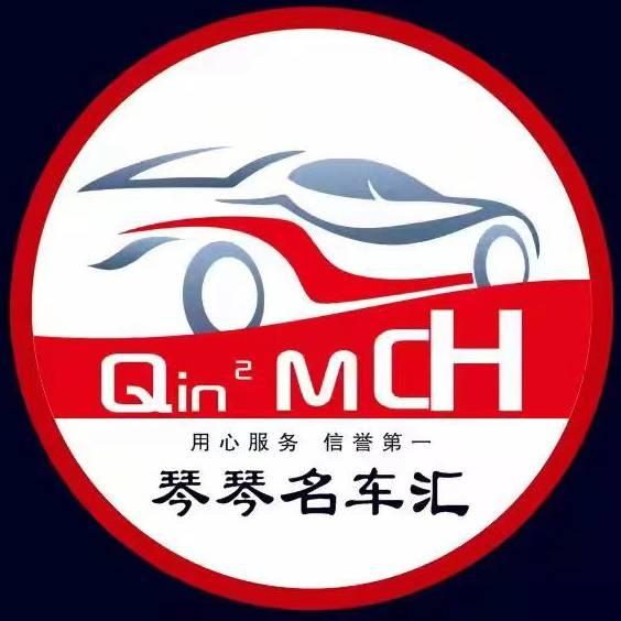 琴琴汽车