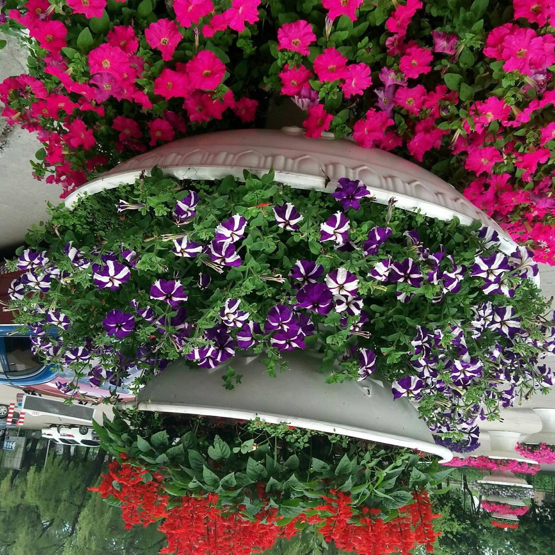 我就是静静，沉默