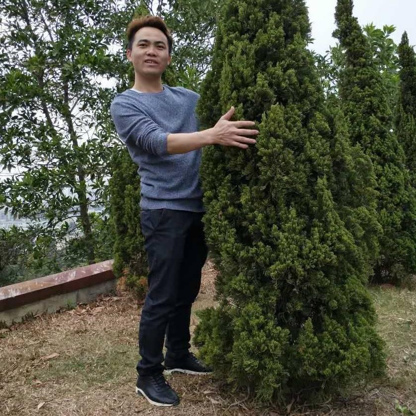 “树下好乘凉”