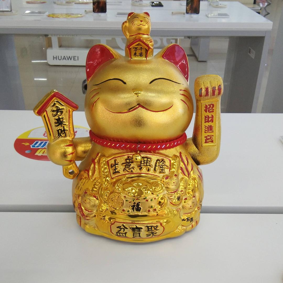 笨蛋