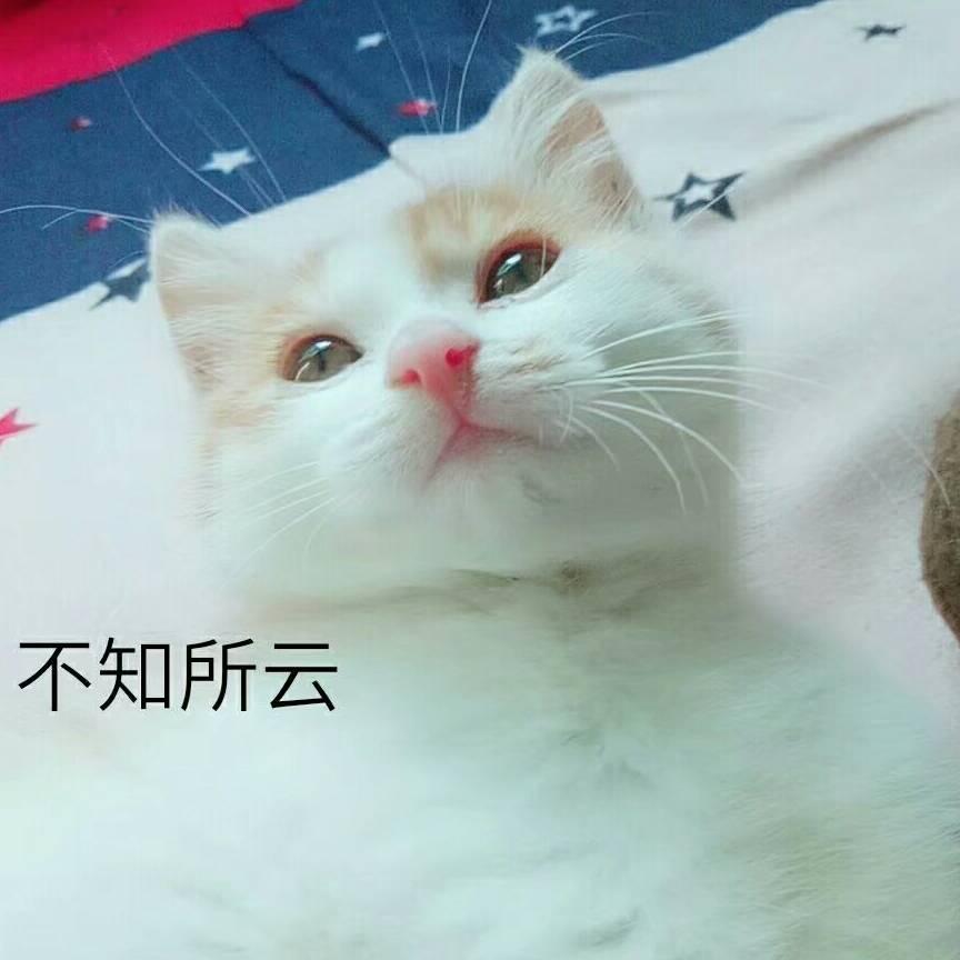 筱柒☞