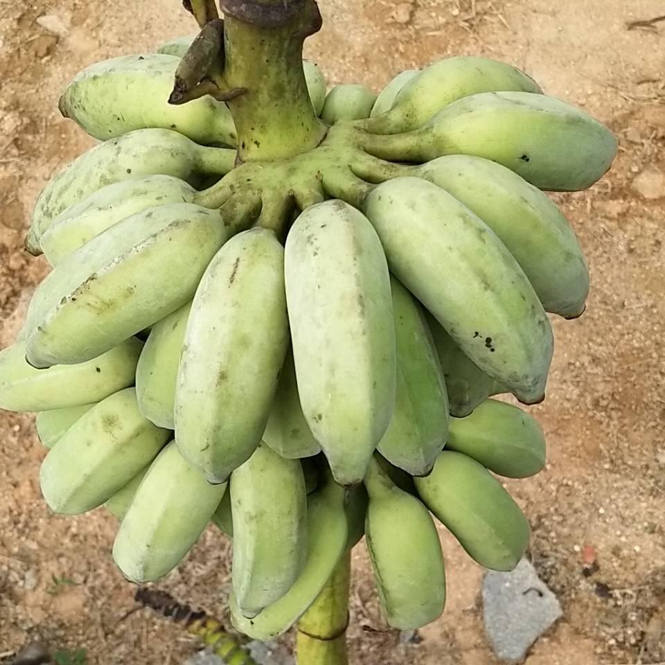 岁月静好我也好