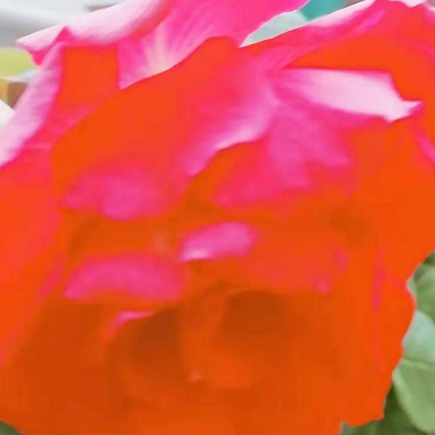 你想说啥840