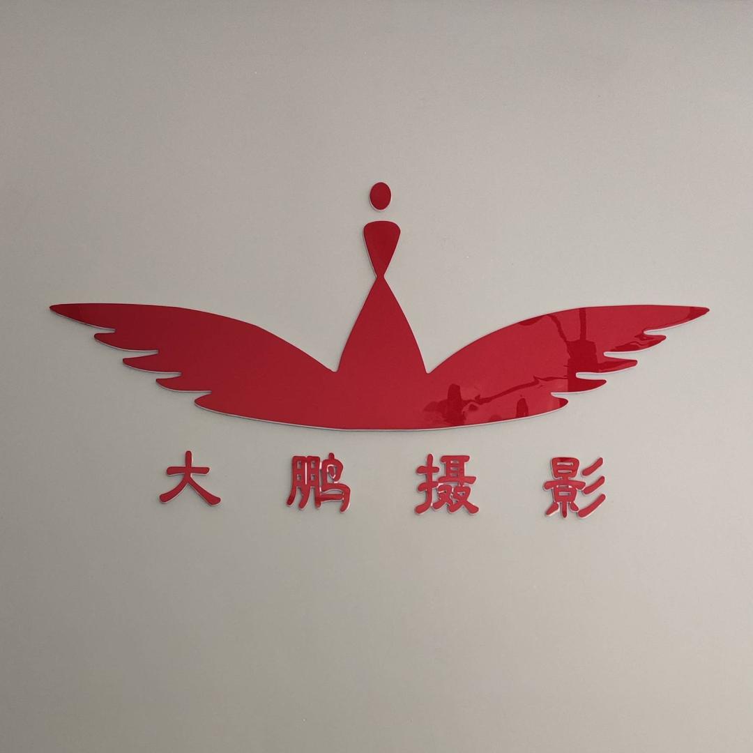 大鹏展翅奔梦去